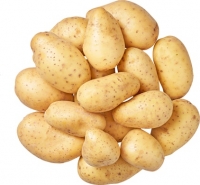 Denner  Denner Kartoffeln
