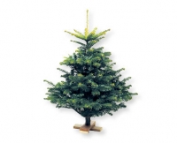Aldi Suisse  Mini-Weihnachtsbaum