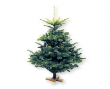 Mini-Weihnachtsbaum