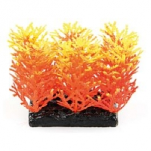 Fantasy Plant PP 10cm orange