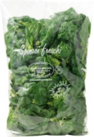 Frischer Spinat