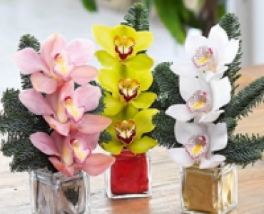 Cymbidiumgesteck CHF&nbsp;7.99