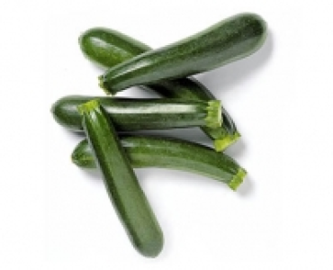 Zucchetti