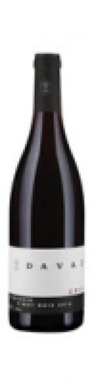 Graub&uuml;nden AOC Pinot Noir Uris Weingut Davaz 2014