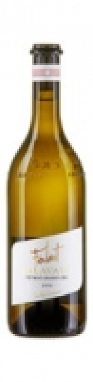 Valais AOC Fendant Balavaud Vétroz Grand Cru Chasselas Domaine Jean-Re