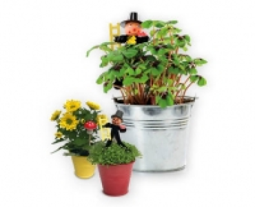 Glucksbringer im Zinktopf