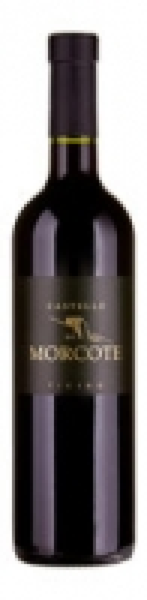 Ticino DOC Merlot Castello di Morcote 2013