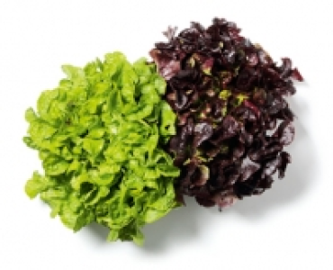 Salat-Mix