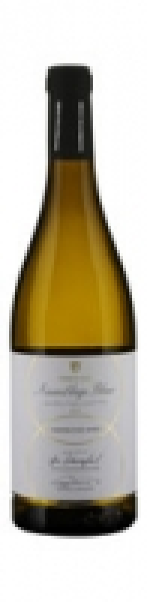 Mondovino  Valais AOC Assemblage Blanc Cooperation Wine Provins 2016