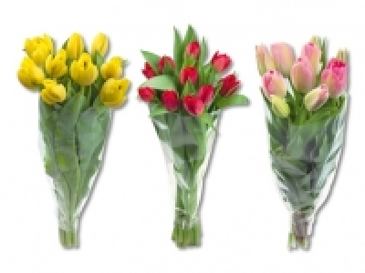 Tulpen CHF 3.99
