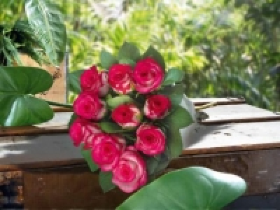 Fairtrade Rosen CHF 7.99