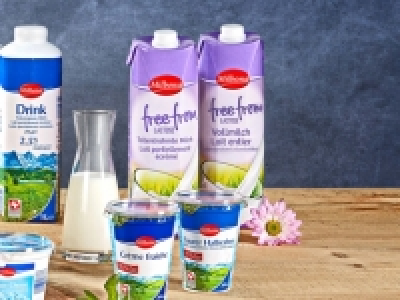 Milch Laktosefrei