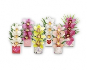 Orchideen-Gesteck
