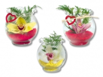 Orchidee im Wellenrandglas