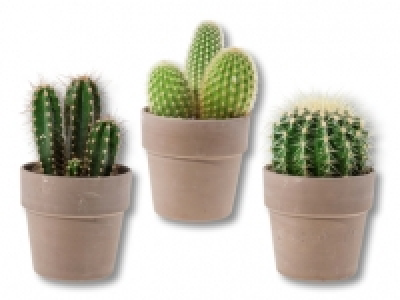 S&auml;ulenkakteen in Keramik