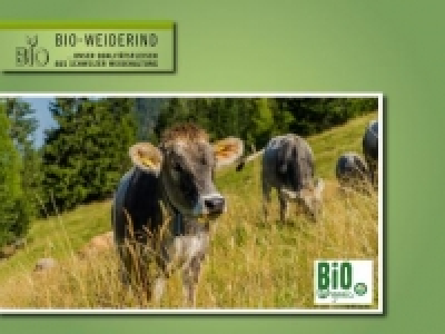 Bio-Weiderind
