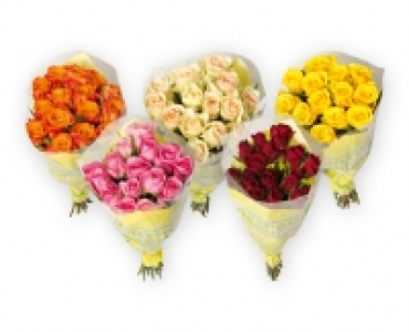 GARDENLINE® Rosen Fairtrade Max Havelaar