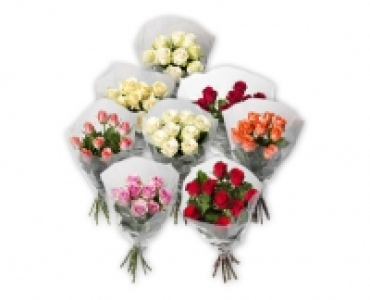 GARDENLINE® Fairtrade Max Havelaar Langstielrosen Valentinstag