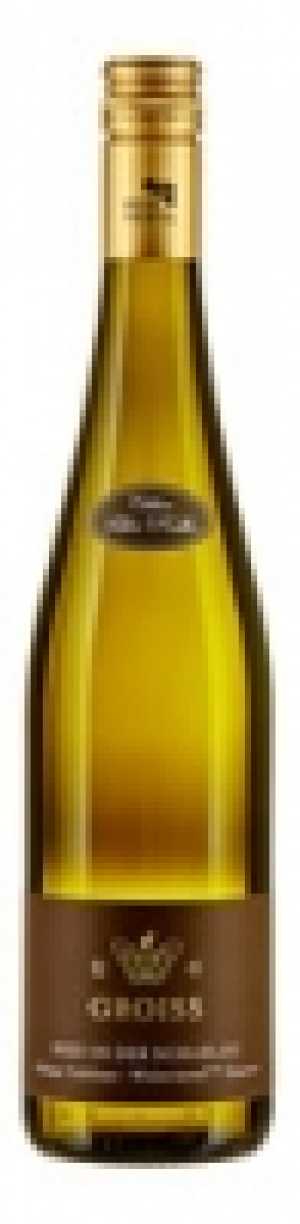Weinviertel DAC Grüner Veltliner Reserve In der Schablau Ingrid Groiss