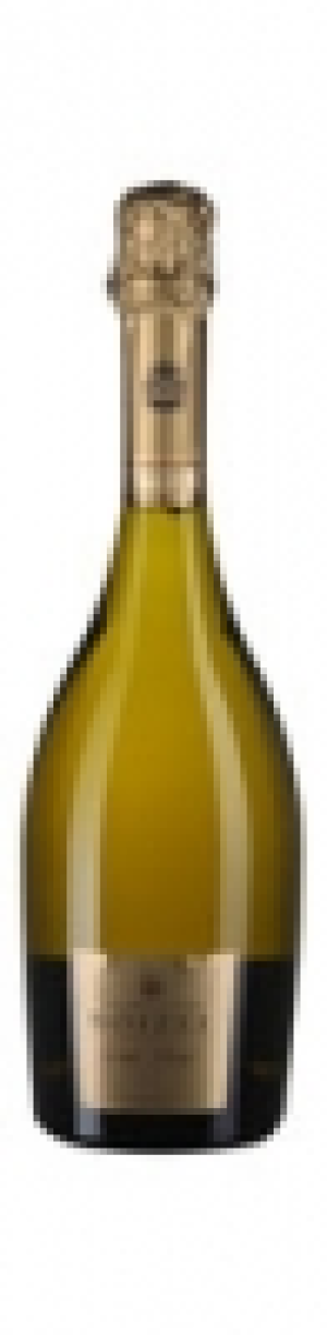 Champagne AOC Grand Vintage Boizel 2007