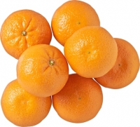 Denner  Mandarinen / Clementinen