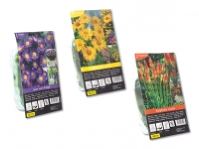 Winterharte Staudenknollen CHF 1.49