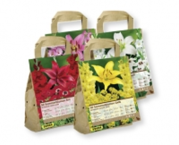 Blumenzwiebeln CHF 4.99