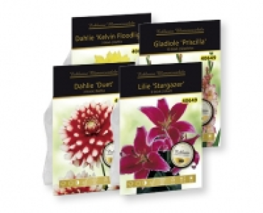 Exklusive Blumenzwiebeln CHF 2.99