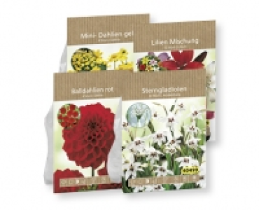 Blumenzwiebeln CHF 2.49