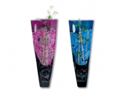 Clematismix CHF 4.99