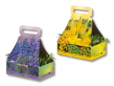 Staudenmix mit Tragegriff