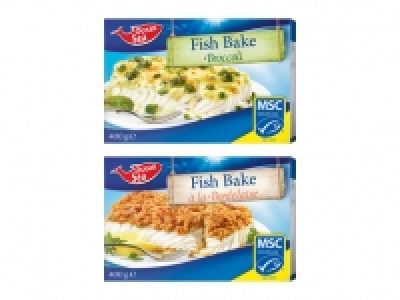 MSC Fish Bake