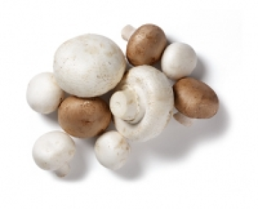 Schweizer Champignons