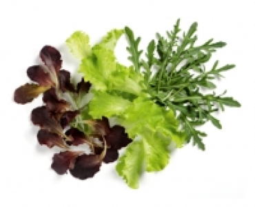 Salat