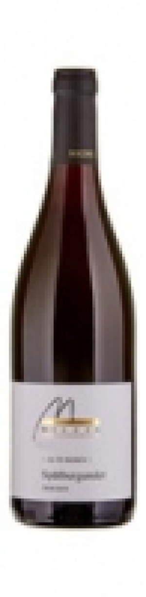 Baden Sp&auml;tburgunder Alte Reben Weingut Michel 2015 CHF&nbsp;10.35