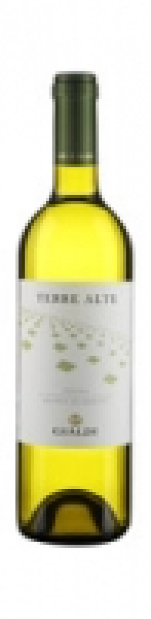 Merlot Bianco TI Terre Alte 2016
