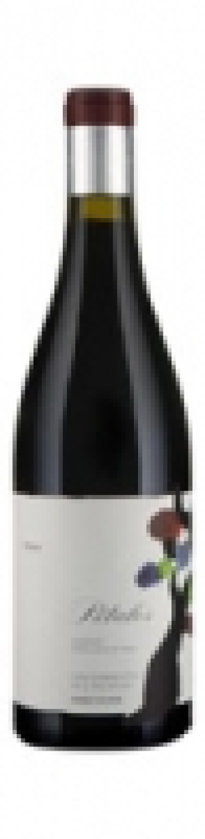 Bierzo DO P&eacute;talos del Bierzo Descendientes de J. Palacios 2011 CHF&nbsp;23.00