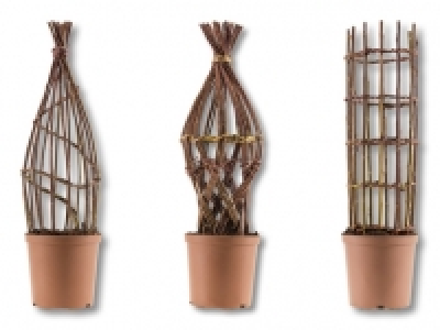 Geflochtene Salix Weide CHF 14.99