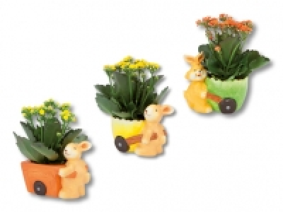 Keramikosterhase CHF 3.99