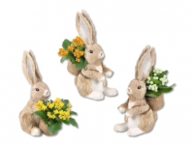 Bepflanzter Osterhase CHF 4.99