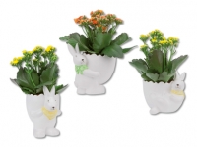 Bepflanzter Keramikosterhase CHF 3.99