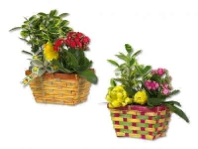 Osterkorb CHF 4.99