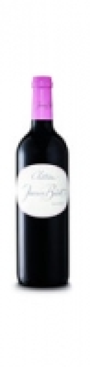 Joanin-Bécot Castillon Côtes de Bordeaux AOC 2012 CHF 179.70