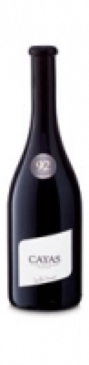 Valais AOC Syrah Cayas J.R. Germanier 2014 CHF&nbsp;269.70