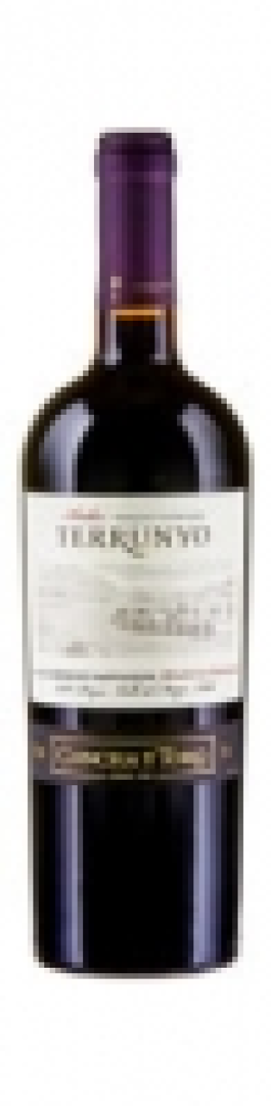 Terrunyo Cabernet Sauvignon Block Las Terrazas 2013 CHF 149.70