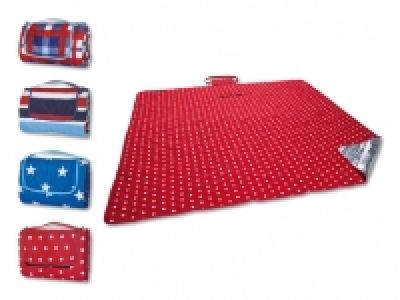 XXL-Picknickdecke CHF 17.99