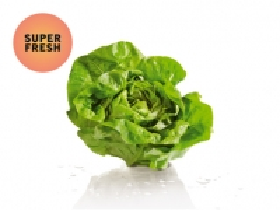 Kopfsalat CHF 0.99