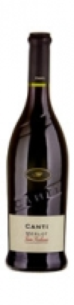 Canti Merlot Terre Siciliane IGT 2016 CHF 3.95