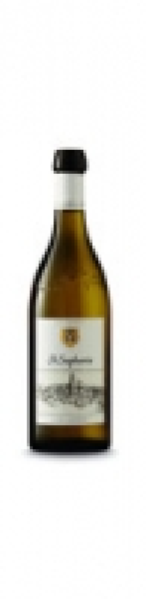 St-Saphorin Lavaux AOC J. et M. Dizerens 2015 CHF&nbsp;95.70