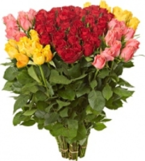 Premium-Rosen CHF 9.95